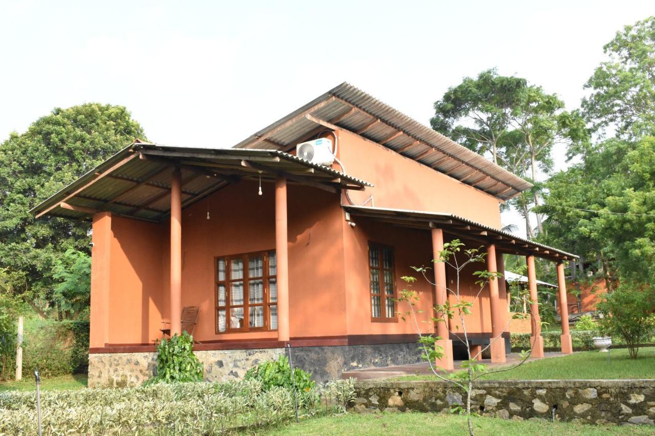 Nil Bawana Nature Resort Udawalawe Dış mekan fotoğraf